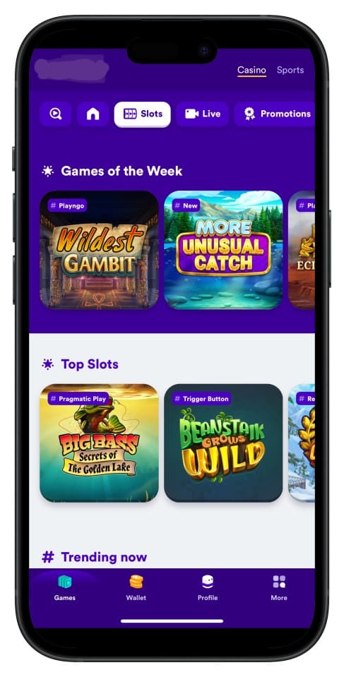 bgd33-vip অ্যাপ ইন্টারফেস স্ক্রিনশট—ইন্টুইটিভ মেনু ও পরিষ্কার লেআউট